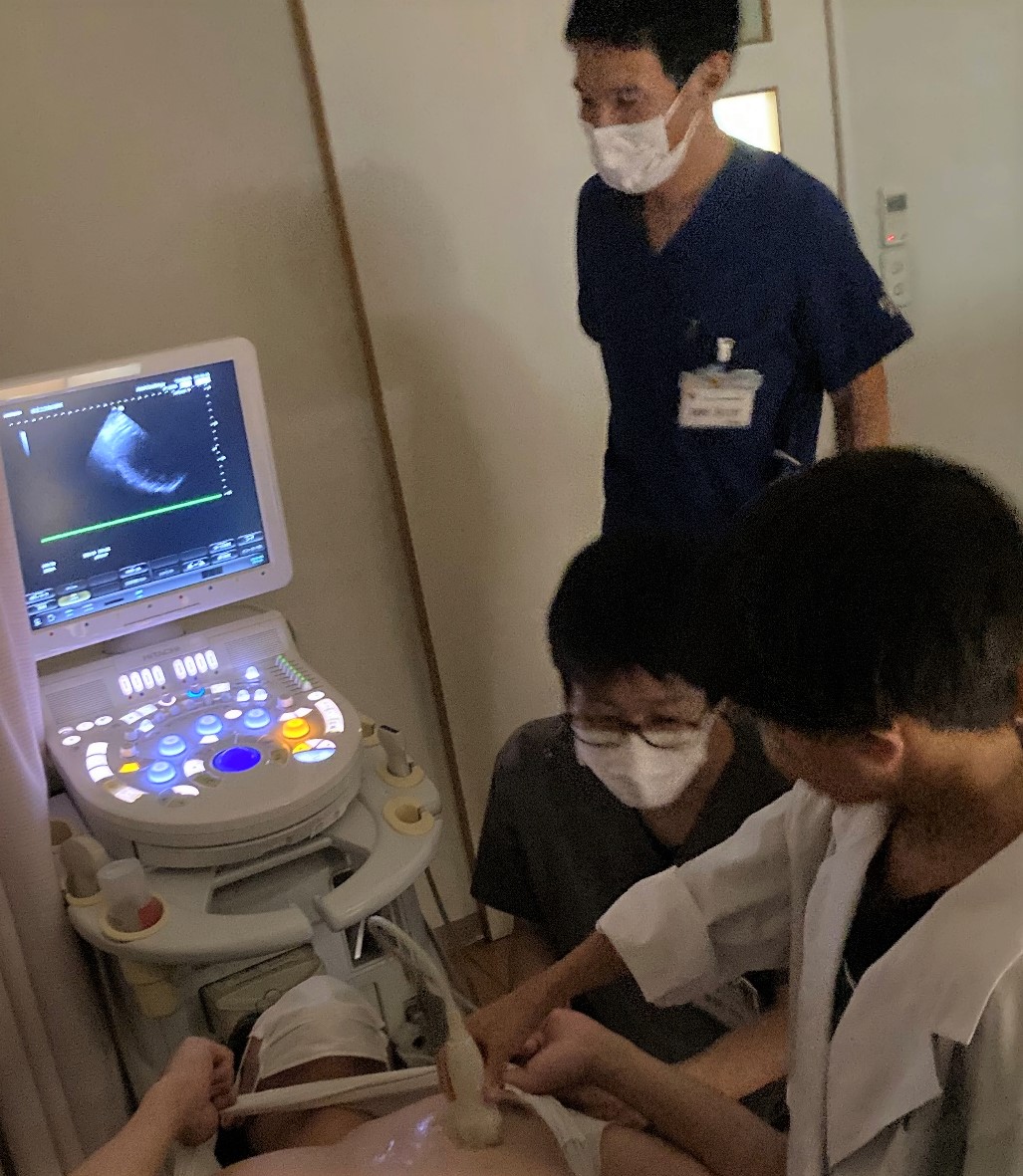 心臓をエコーで見てみよう