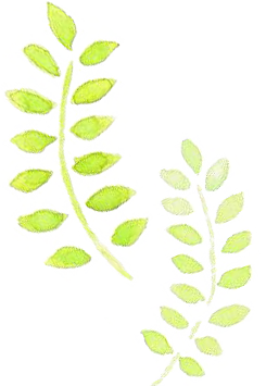 grass