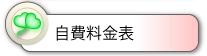 自費料金表